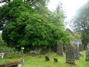 P1050916.jpg