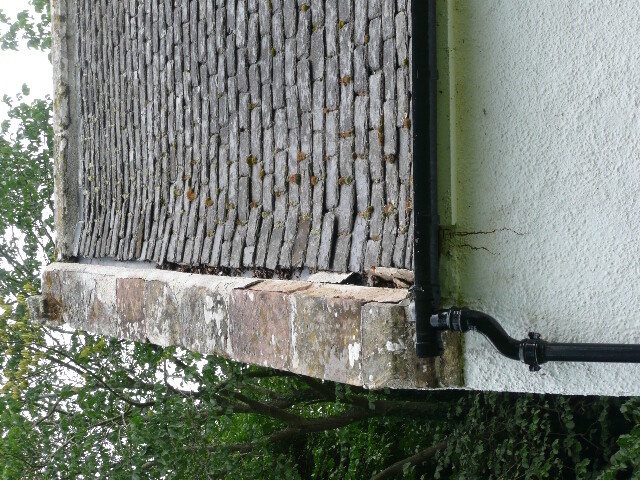 P1030918.jpg