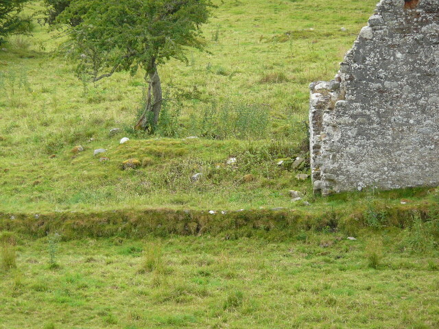 P1030406.jpg
