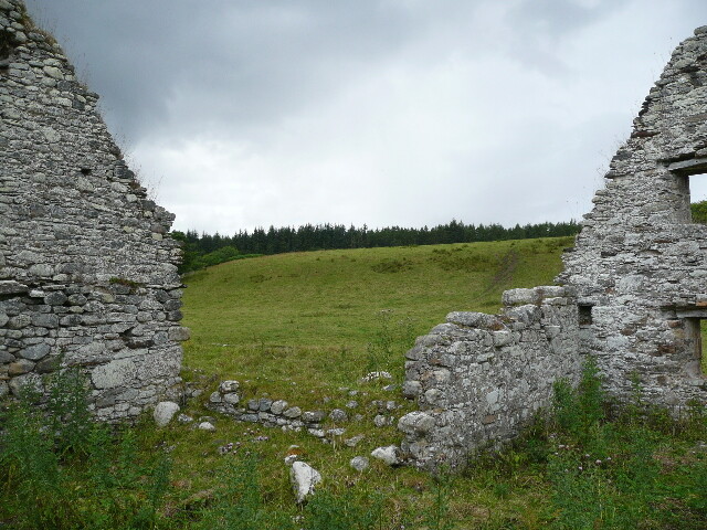 P1030427.jpg