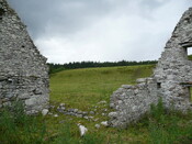 P1030427.jpg