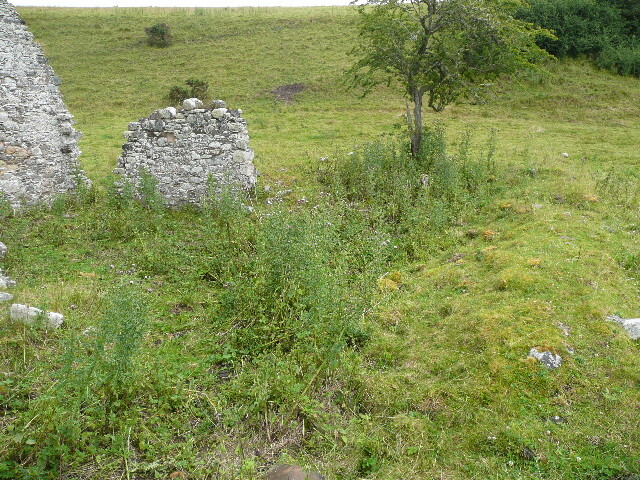 P1030430.jpg