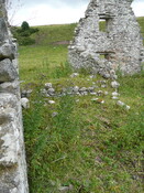 P1030431.jpg