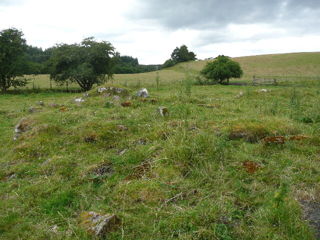 P1030434.jpg