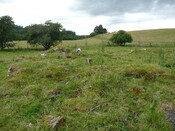 P1030434.jpg