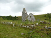 P1030436.jpg