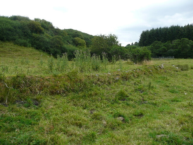 P1030437.jpg