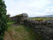 P1020234.jpg