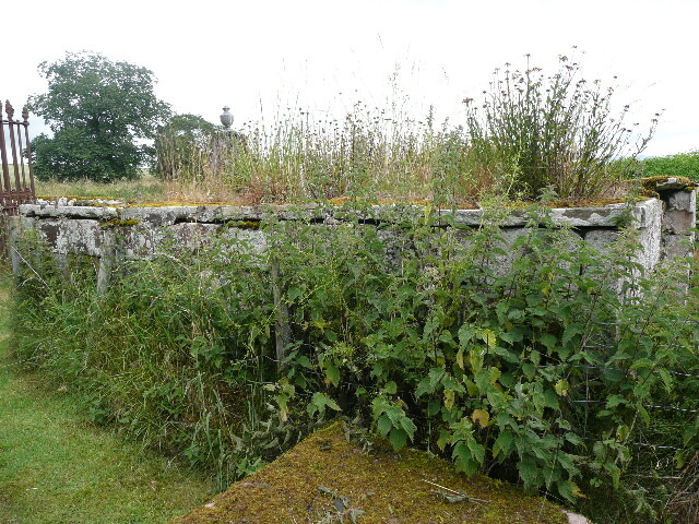 P1020266.jpg
