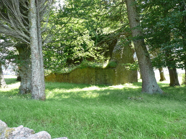 P1040111.jpg