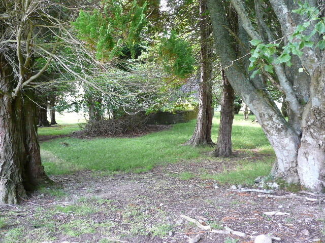 P1040120.jpg