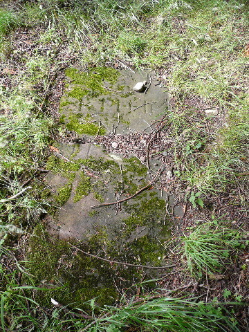 P1040130.jpg