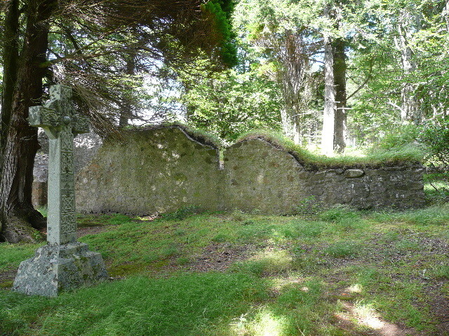 P1040135.jpg