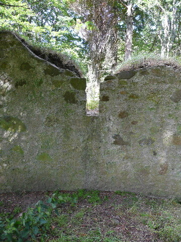 P1040136.jpg