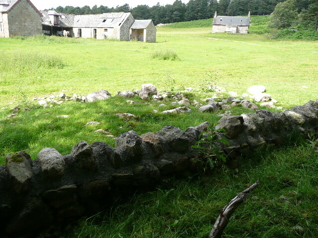 P1040144.jpg