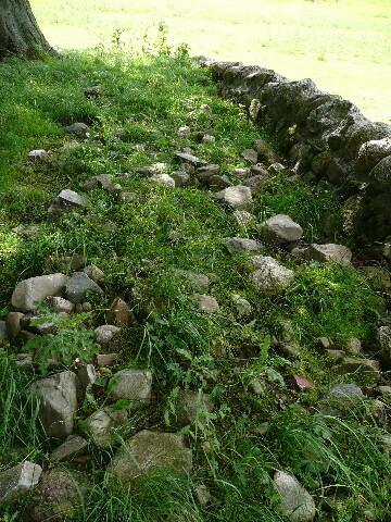 P1040147.jpg