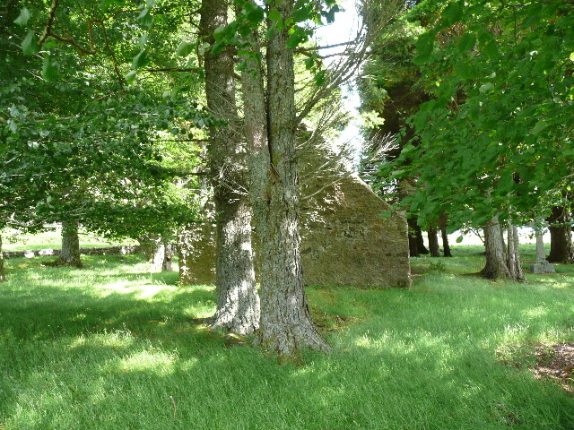 P1040148.jpg