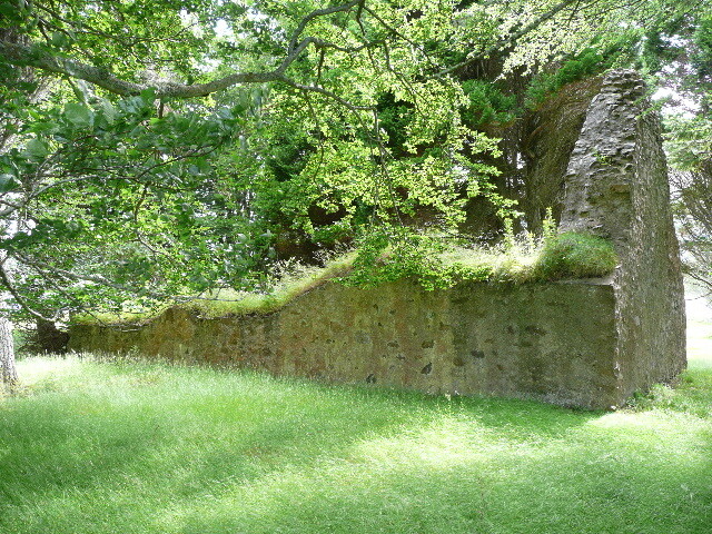 P1040152.jpg