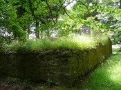 P1040157.jpg
