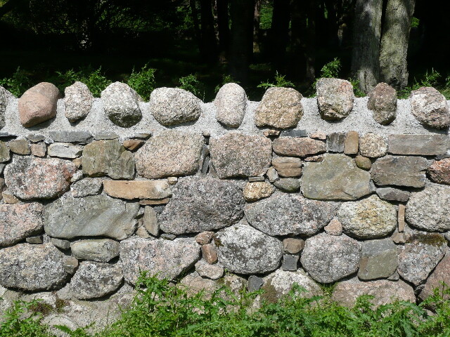 P1040165.jpg