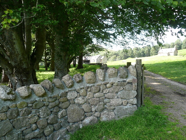 P1040176.jpg