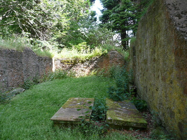 P1040182.jpg