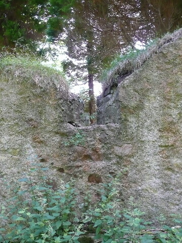 P1040189.jpg