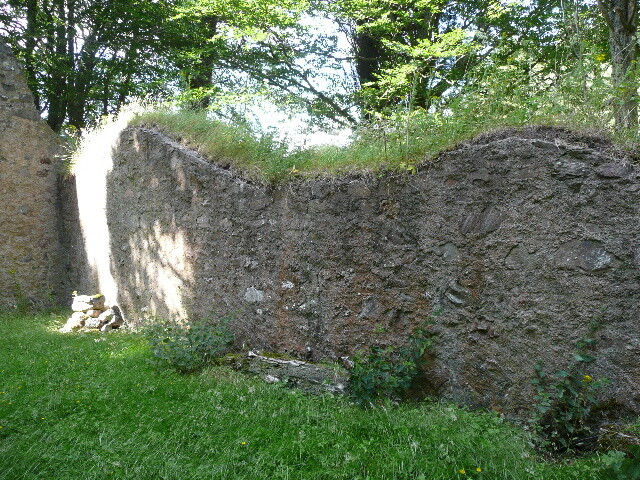 P1040191.jpg
