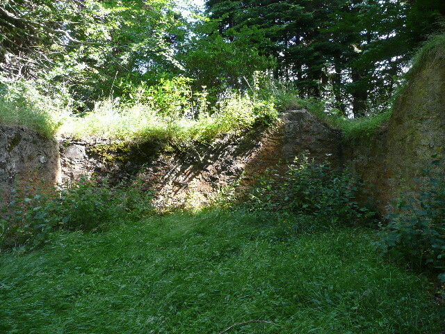 P1040196.jpg