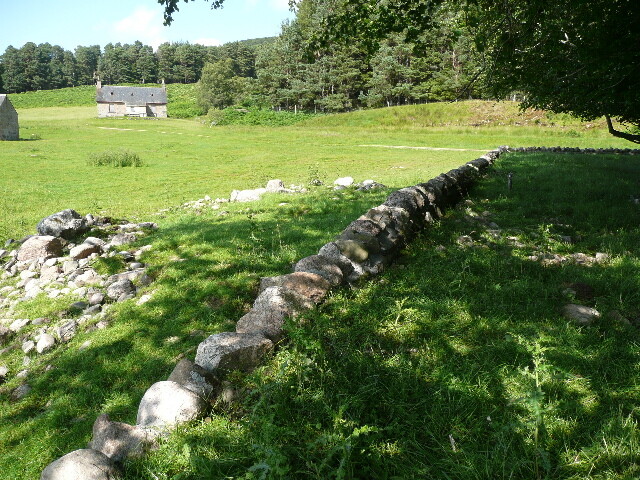 P1040203.jpg