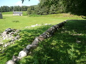 P1040203.jpg