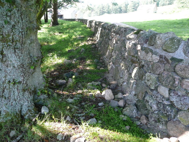 P1040211.jpg