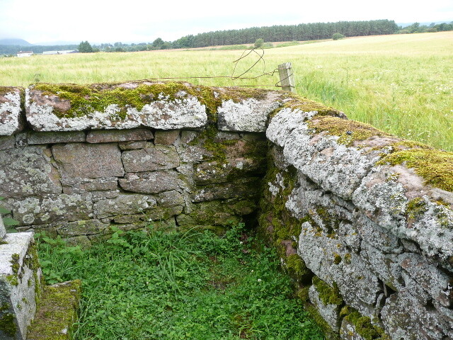 P1020330.jpg