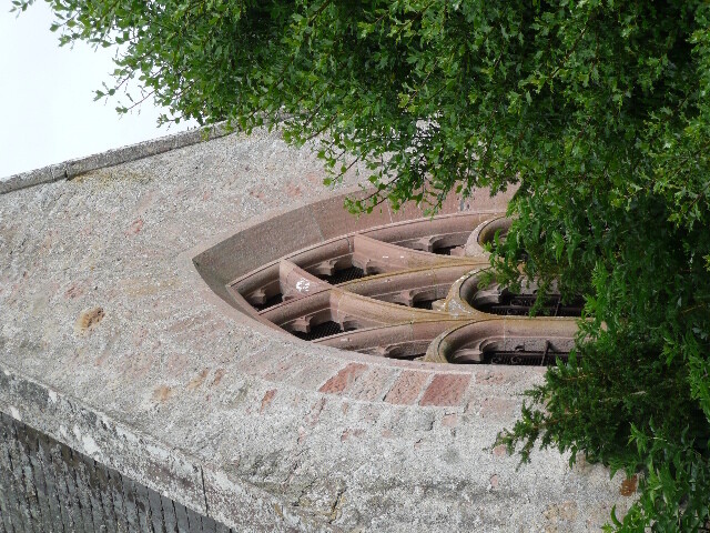 P1020371.jpg