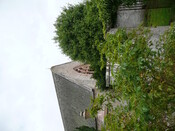 P1020372.jpg