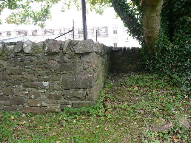 P1040677.jpg