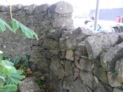P1040683.jpg