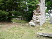 P1010869.jpg