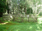 P1020418.jpg