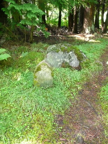 P1020420.jpg
