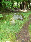 P1020420.jpg