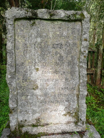 P1020427.jpg