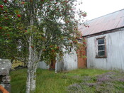 P1050098.jpg