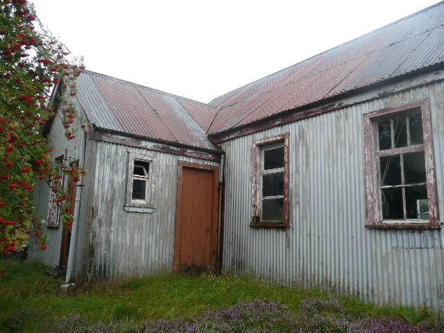 P1050119.jpg