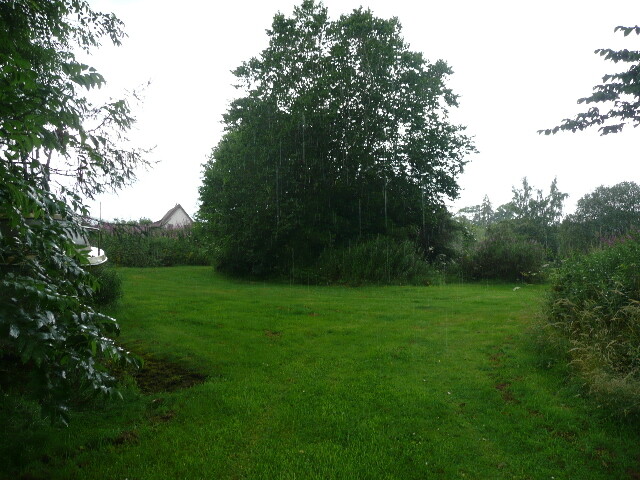 P1020392.jpg