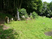 P1020669.jpg
