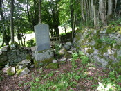P1020675.jpg
