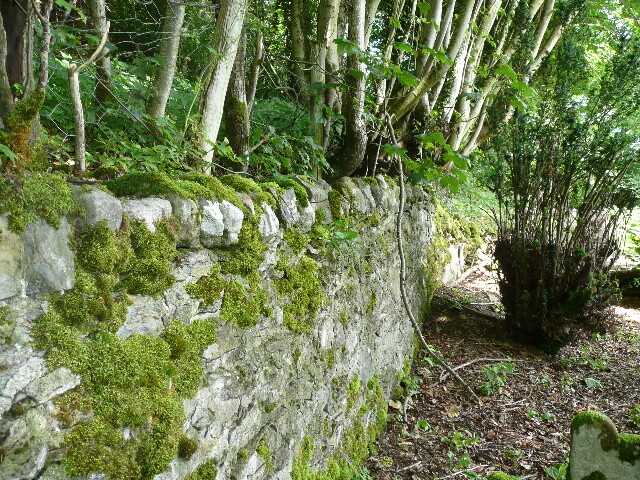 P1020676.jpg