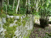 P1020676.jpg