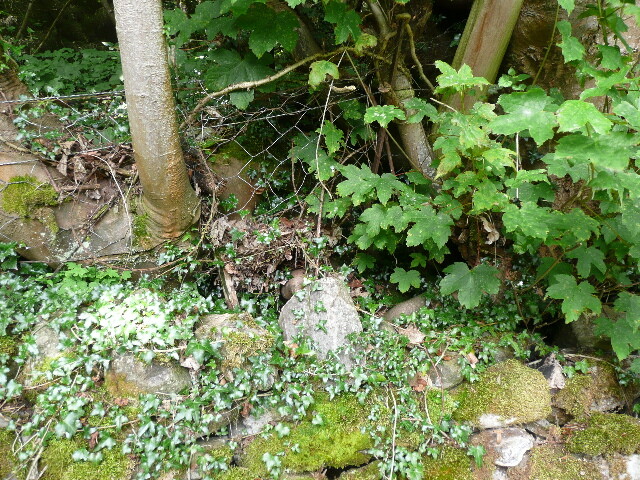 P1020684.jpg